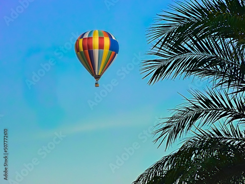 Hot Air Balloon. Copy Space.  Balloon up high in the bright blue sky. Palm branches on the right. Stock Image.