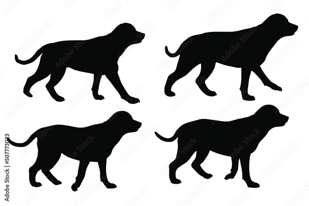 Walking Rottweiler dog silhouette vector set, isolated on white background, pet animal concept, fill with black color bulky dog, four Rottweiler pet canine icon collection, symbol idea, side view  