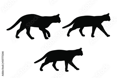 Walking cat silhouette vector set  isolated on white background  pet animal concept  fill with black color house cat  cute and sweet pet icon  symbol idea  side view