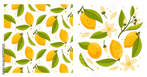 Collection and seamless pattern of lemon tree branches with fruits, leaves and flowers isolated on white background. Fresh citrus. Exotical tropical plant. Flat vector illustration.