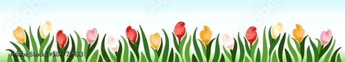 Tulips. Large floral banner with different bright flowers. Rich flowery meadow. Design elements for decoration. Vector graphics