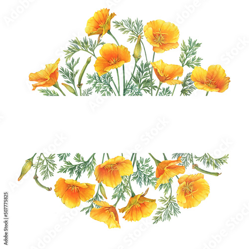 Postcard  template  frame with golden California sunlight flower  Eschscholzia  desert gold poppy  Mojave poppy . Hand drawn watercolor painting illustration isolated on white background.