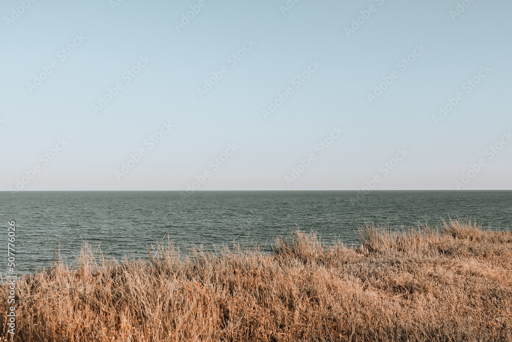 High seashore overgrown with grass and meadow plants. Sea landscape in soft color palette.