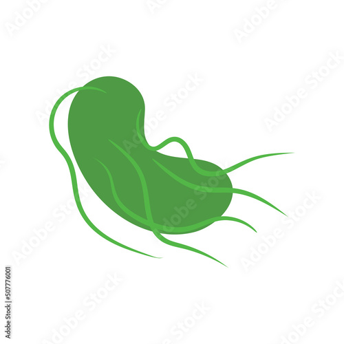 Salmonella Typhi bacteria under the microscope. Medical research of microbes. Biochemistry and analysis concept. Vector illustration.