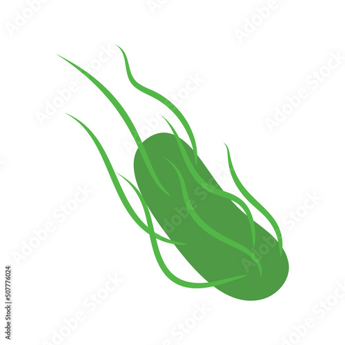 Salmonella Typhi bacteria under the microscope. Medical research of microbes. Biochemistry and analysis concept. Vector illustration.
