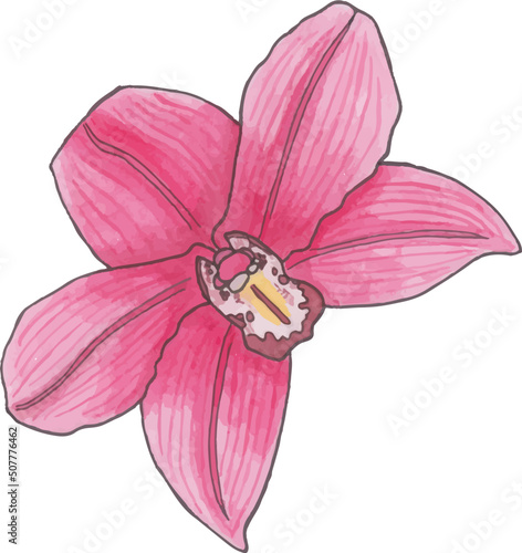 Florart Watercolor