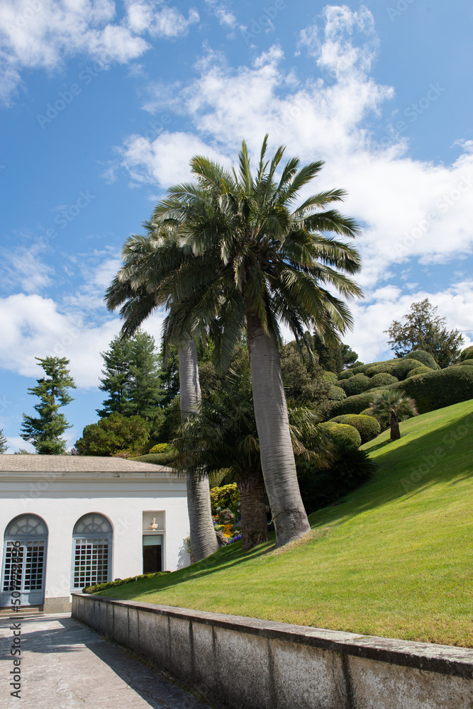 Park with great landscaping and beautiful plants in spring, beauty in nature at springtime, Italy, Lombardy Park with great landscaping and beautiful plants in spring, beauty in nature at springtime, Italy, Lombardy