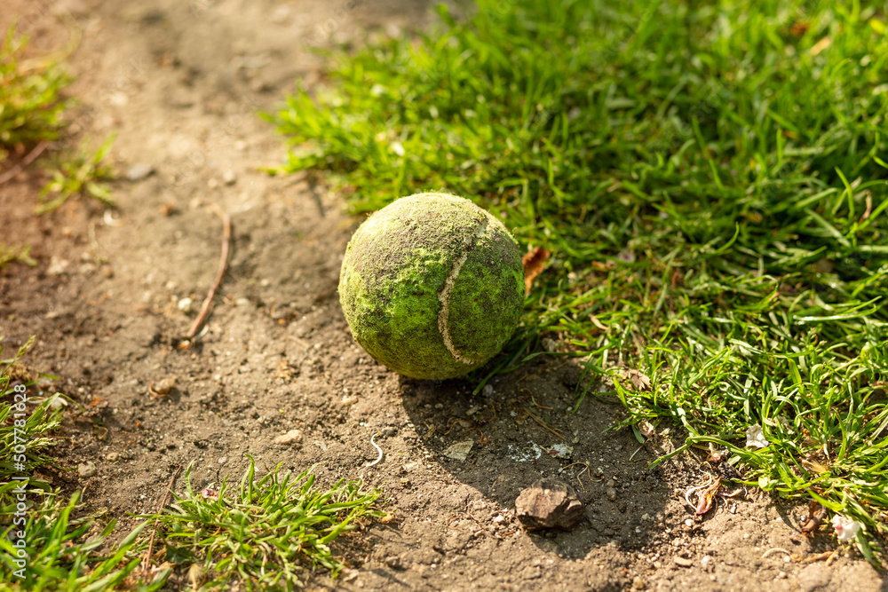 dirty tennis ball lost in the green field.outdoor leisure activities
