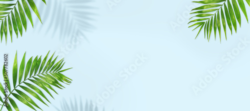summer background from palm leaves and shadows.