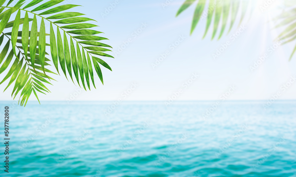 summer background of the sea, palm branches and the sun summer background of the sea, palm branches and the sun