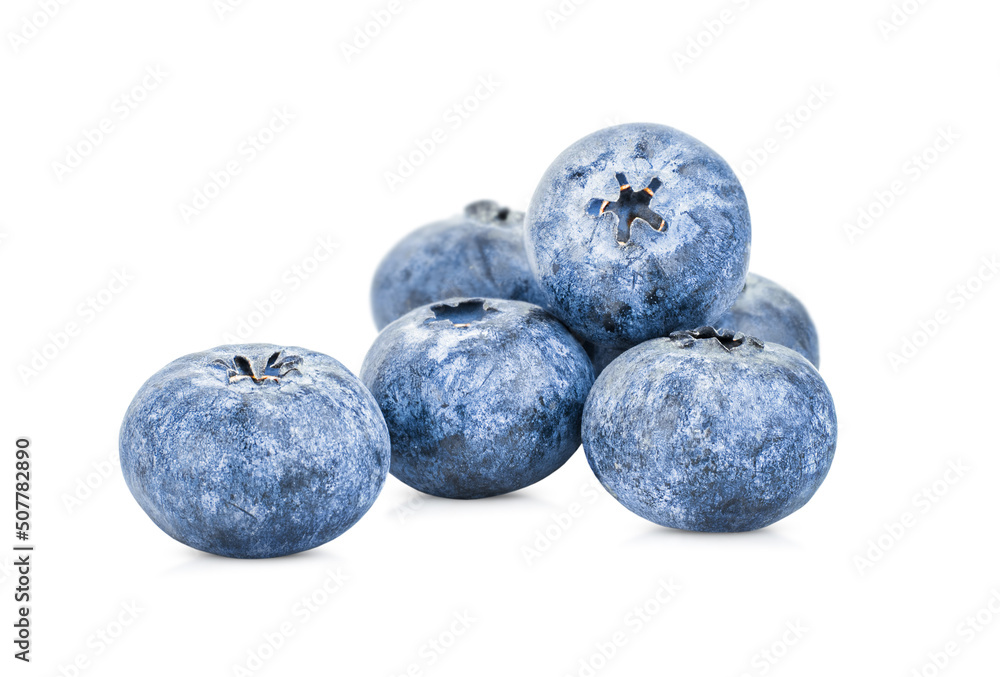 blueberries on a white isolated background blueberries on a white isolated background