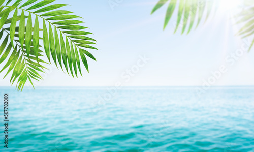 summer background of the sea  palm branches and the sun