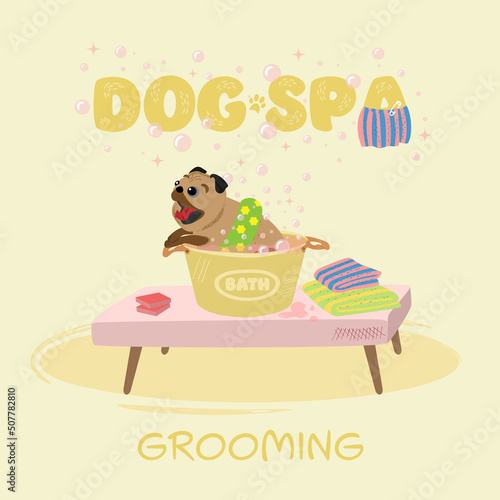 illustration with dog for grooming salon.