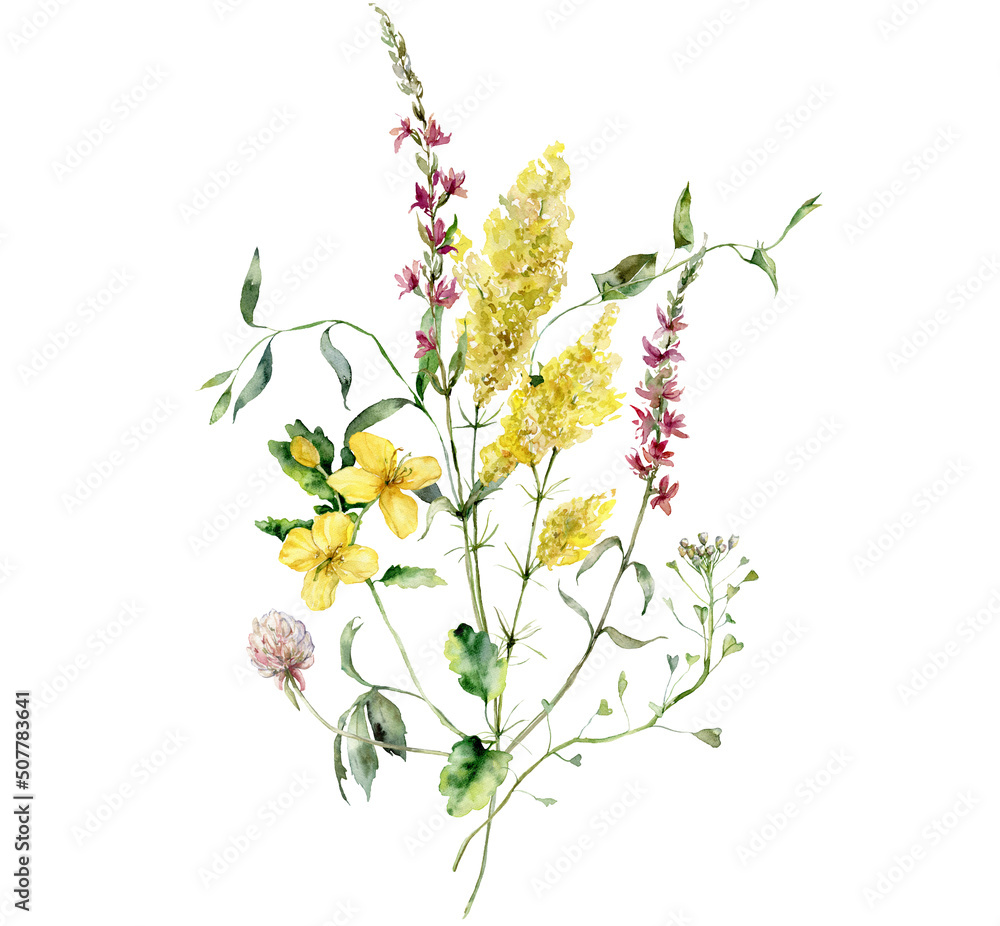 Watercolor meadow flowers bouquet of bedstraw, celandine, clover and sage. Hand painted floral poster of wildflowers isolated on white background. Holiday Illustration for design, print, background.
