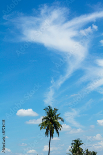 Sky-cumulus atmosphere that floats in the sky naturally beautiful on a sunny day with coconut palms as a backdrop against a beautiful blue sky background.