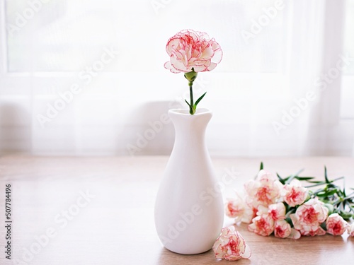 Pink white pastel Dianthus Carnation flowers in vase on table, Clove pink ,still life for background or wallpaper for text letter ,mother\'s day ,women\'s day ,soft color romantic love tone ,copy space