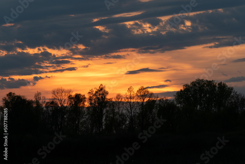 Orange glow in clouds at dusk  forest silhouette and blue clouds in sky