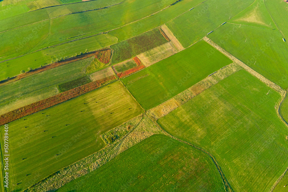 Fototapeta premium Aerial view of green agricultural fields. Countryside background. Nature landscape