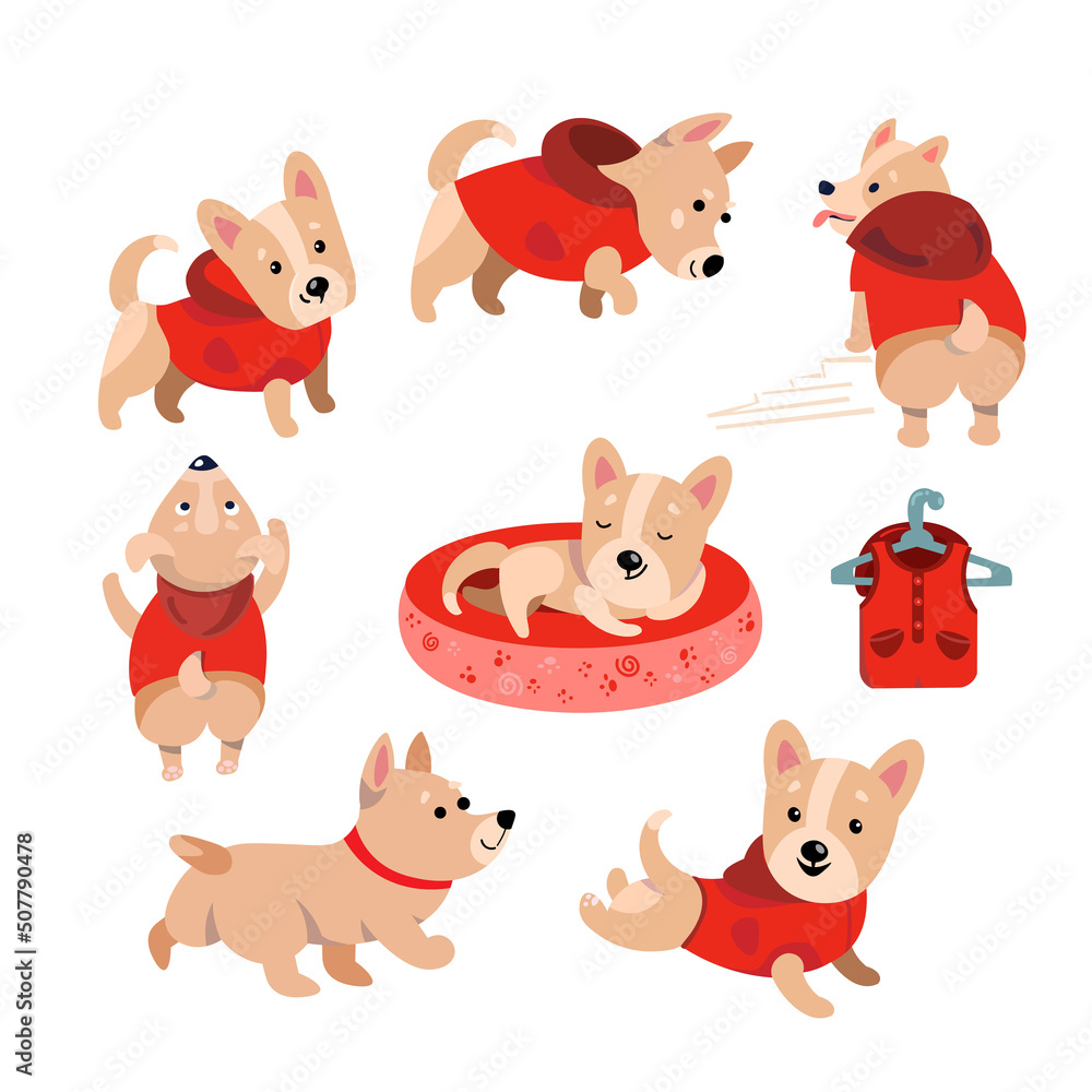 Set cute funny corgi dogs in jacket. Character in cartoon style for design. Vector illustration, isolated icon on white background. Set cute funny corgi dogs in jacket. Character in cartoon style for design. Vector illustration, isolated icon on white background.