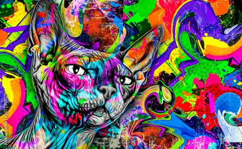 colorful background with cat sphinx