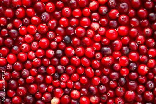 Cranberry (cowberry). Fresh red cranberries background. Food background. Top view 