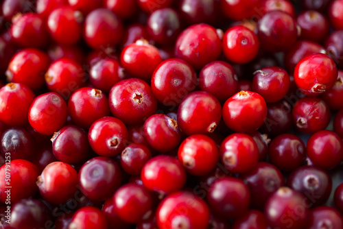 Cranberry (cowberry). Fresh red cranberries background. Food background