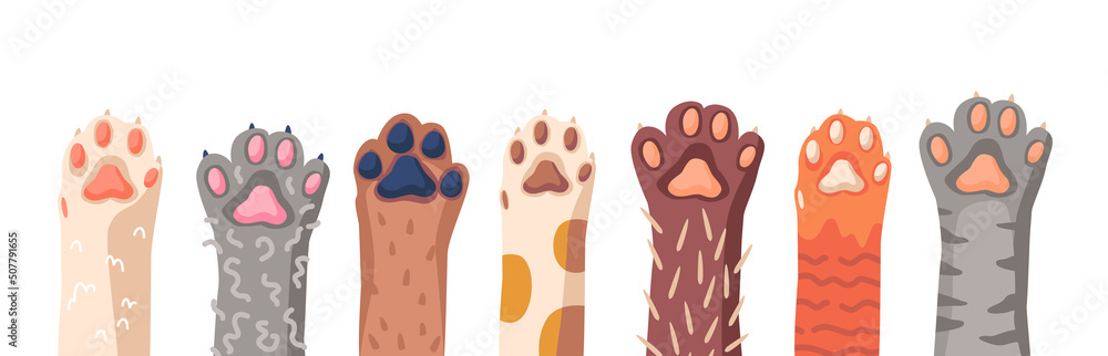 Cat Paws Row, Domestic Animal Foot Isolated on White Background. Collection of Various Cute Kitten Legs, Funny Pet Paws Cat Paws Row, Domestic Animal Foot Isolated on White Background. Collection of Various Cute Kitten Legs, Funny Pet Paws