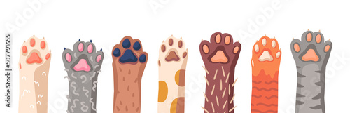 Cat Paws Row, Domestic Animal Foot Isolated on White Background. Collection of Various Cute Kitten Legs, Funny Pet Paws