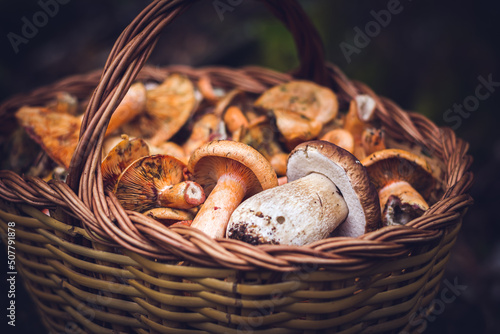 Basket of delicious mushrooms