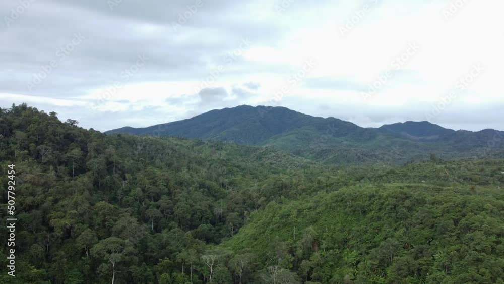 Aerial video of tropical forest, Aceh, Indonesia. Aerial video of tropical forest, Aceh, Indonesia.