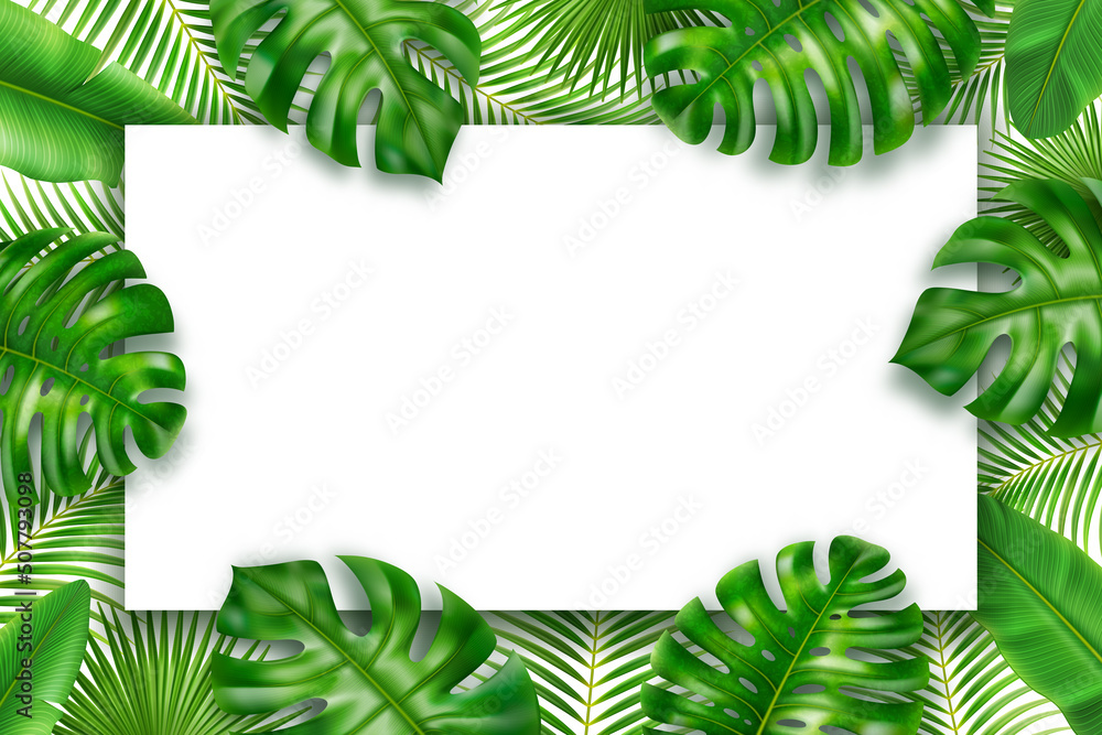 Tropical leaves frame background border green leaf and spare place for text. Vector illustration of summer greenery, borders with spare place for text, floral jungle foliage of monstera and palm trees