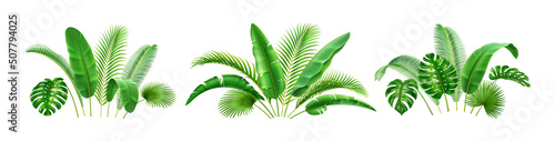 Rainforest tropical leaves in green bushes, holiday resort summer decor, floral card design element. Vector illustration of paradise coconut leafage, Hawaii flora, abstract jungle leafage