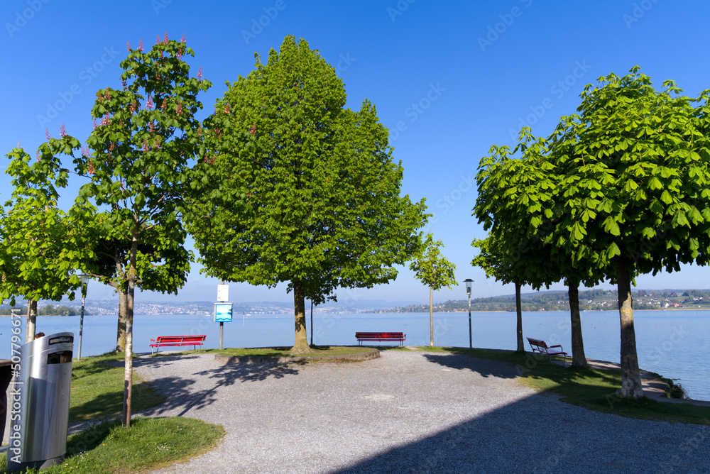 Waterfront with boardwalk and tree alley at border of Lake Zürich at City of Rapperswil-Jona on a sunny spring day. Photo taken April 28th, 2022, Rapperswil-Jona, Switzerland. Waterfront with boardwalk and tree alley at border of Lake Zürich at City of Rapperswil-Jona on a sunny spring day. Photo taken April 28th, 2022, Rapperswil-Jona, Switzerland.