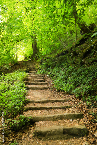 A stone staircase in the Mullerthal Trail, Luxembourg
