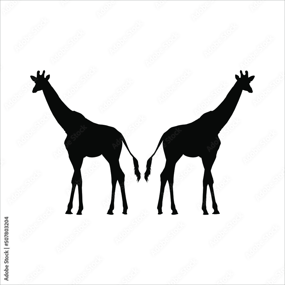 A Pair of Giraffe Silhouette for Logo or Graphic Design Element. Vector Illustration A Pair of Giraffe Silhouette for Logo or Graphic Design Element. Vector Illustration