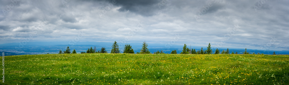 Meadow over Kandel mountain in Schwartzwald, Germany Meadow over Kandel mountain in Schwartzwald, Germany