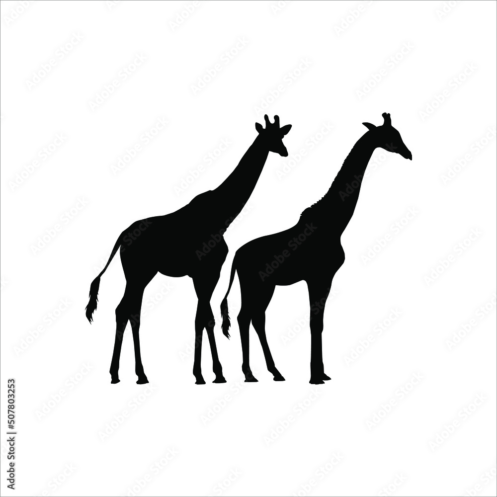 A Pair of Giraffe Silhouette for Logo or Graphic Design Element. Vector Illustration A Pair of Giraffe Silhouette for Logo or Graphic Design Element. Vector Illustration