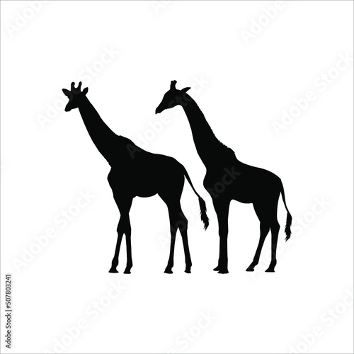 A Pair of Giraffe Silhouette for Logo or Graphic Design Element. Vector Illustration © Berkah Visual