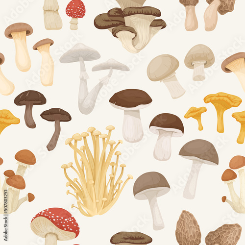 Vector Seamless Patern with Edible, Poisonous Inedible Mushrooms. Hand Drawn Cartoon Mushrooms. Different Mushrooms Isolated on White. Fly Agaric, Champignon, Death Cap, Shiitake, Enoki, King Trumpet