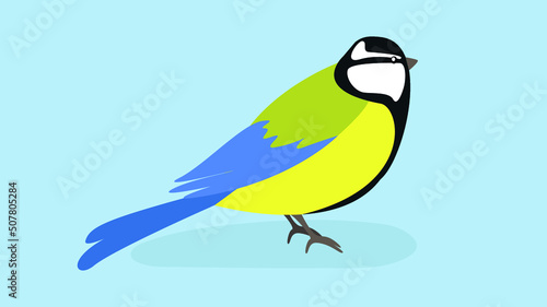 Yellow-blue titmouse sitting