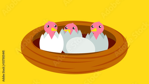 Pigeon chicks hatched from eggs