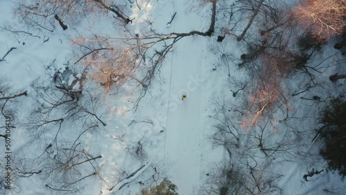 An athlete runs under the crowns of trees in winter