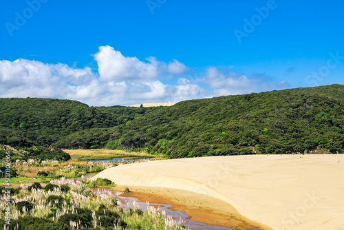 A nearly dry stream turning around giand sand dunes on its way to the ocean. Te Paki Sand Dunes, Cape Reinga, North Island, New Zealand