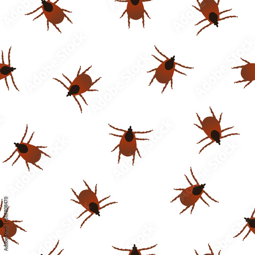 Seamless pattern brown tick insect icon on white background, vector eps 10