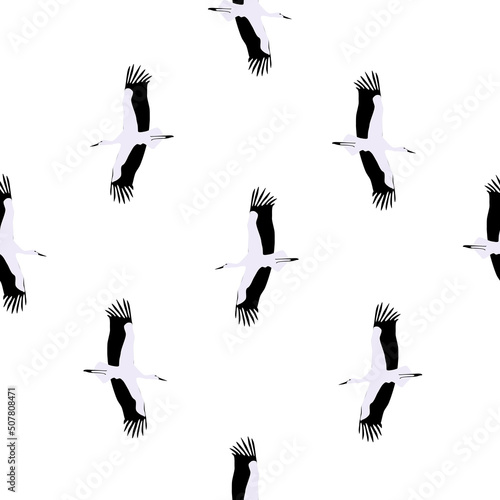 Seamless pattern flock of white storks flying on white background  vector eps 10