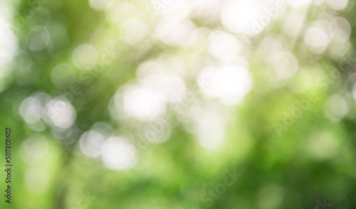 Fresh and green leaves green bokeh on nature abstract blur background green bokeh from tree.Mock up for display. montage of product,Banner or header for advertise on social media,Spring and Summer.