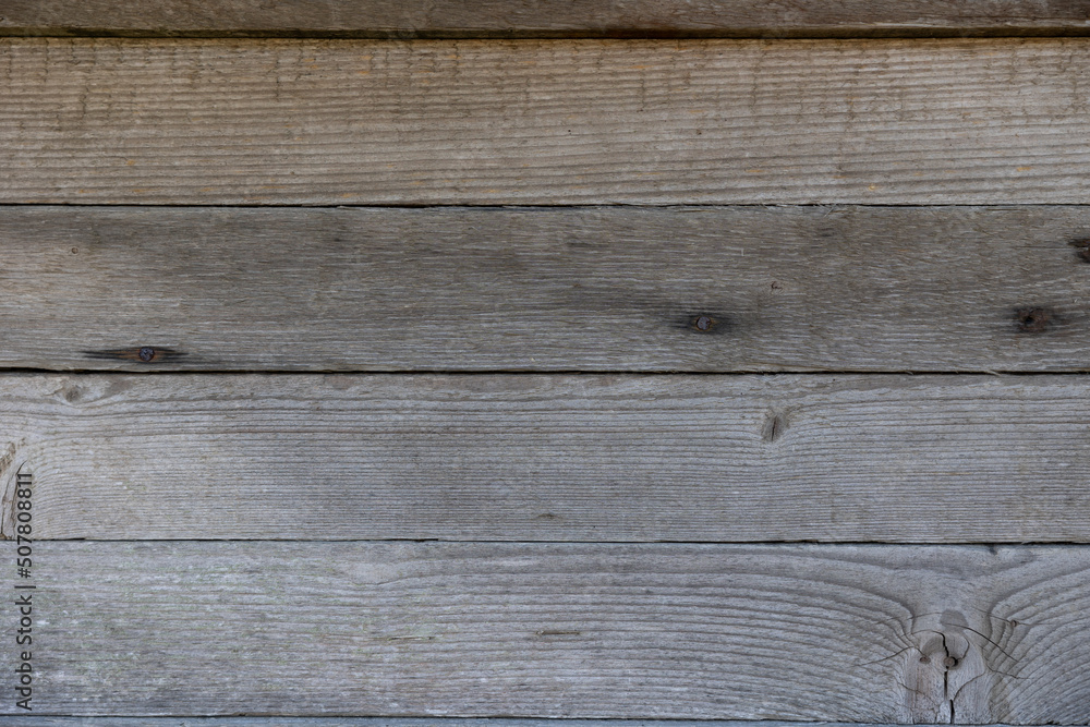 Fototapeta premium Texture of wood grain,background image