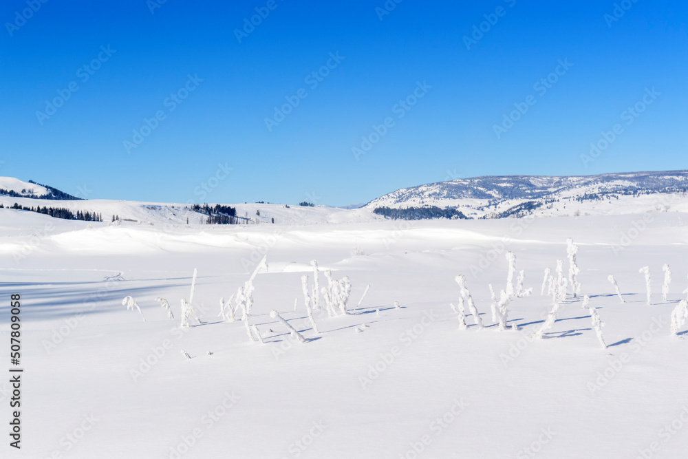 Lamar valley during winter, Yellowstone, Wyoming, Montana, USA.