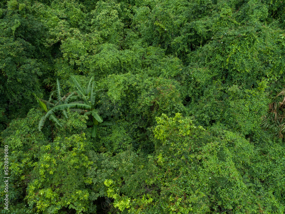 Aerial view of beautiful forest mountain landscape Aerial view of beautiful forest mountain landscape
