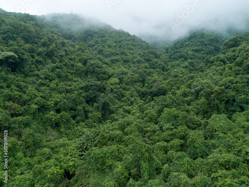 Aerial view of beautiful forest mountain landscape © lzf